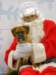 santapaws2012_0075_small.jpg