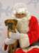 santapaws2012_0077_small.jpg
