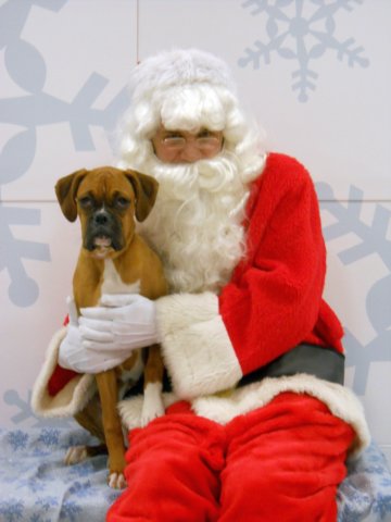 santapaws2012_0079.jpg