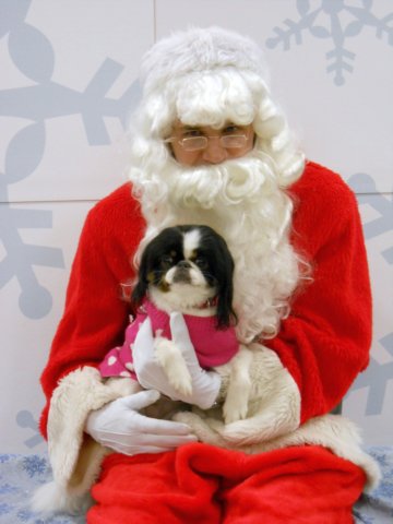 santapaws2012_0083.jpg