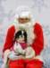 santapaws2012_0084_small.jpg