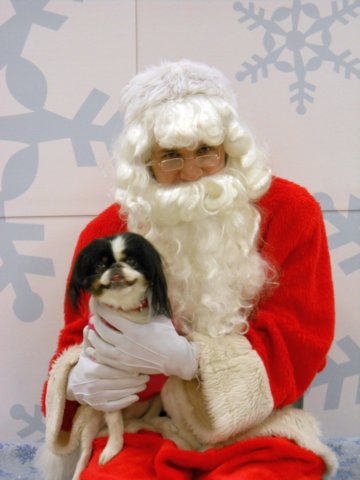 santapaws2012_0085.jpg