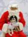 santapaws2012_0086_small.jpg