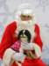 santapaws2012_0087_small.jpg