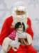 santapaws2012_0088_small.jpg