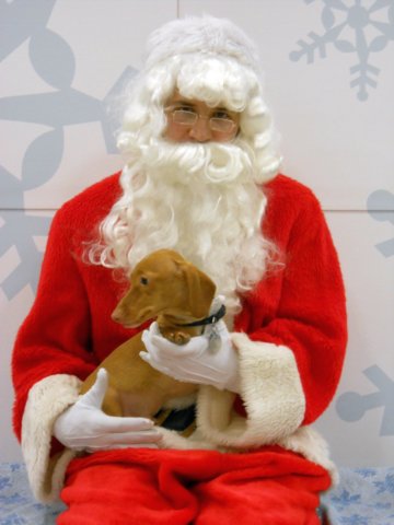 santapaws2012_0089.jpg