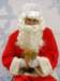 santapaws2012_0090_small.jpg
