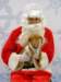 santapaws2012_0100_small.jpg