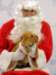 santapaws2012_0101_small.jpg
