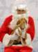 santapaws2012_0102_small.jpg