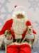 santapaws2012_0104_small.jpg