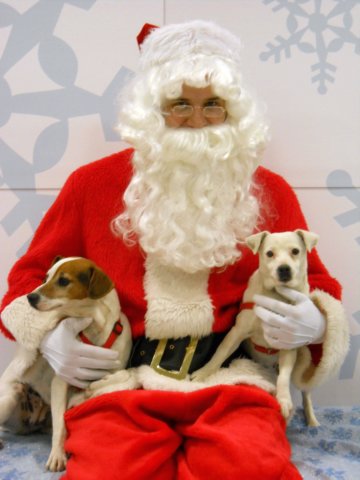 santapaws2012_0106.jpg