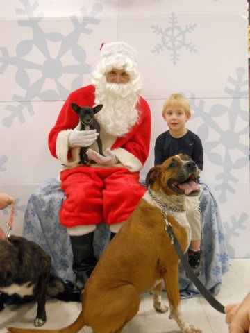 santapaws2012_0113.jpg