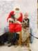 santapaws2012_0114_small.jpg