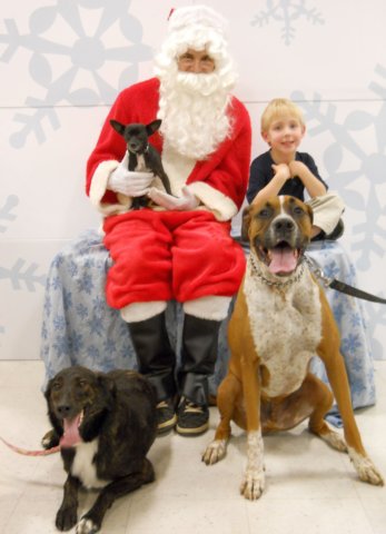 santapaws2012_0115.jpg