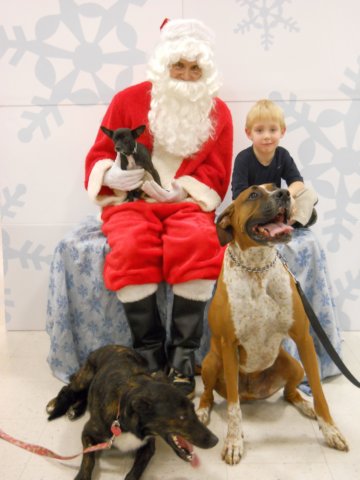 santapaws2012_0116.jpg