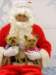santapaws2012_0126_small.jpg