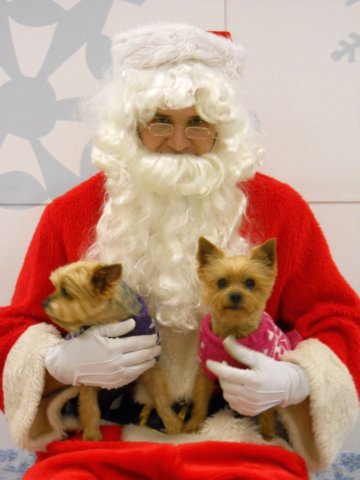 santapaws2012_0127.jpg