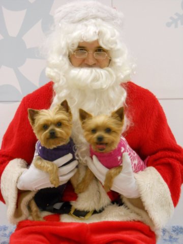 santapaws2012_0132.jpg