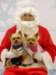 santapaws2012_0132_small.jpg