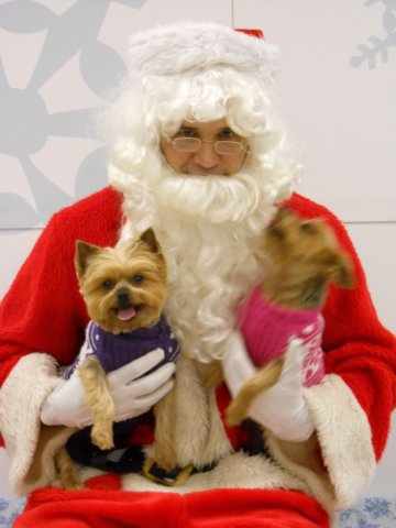 santapaws2012_0133.jpg