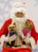santapaws2012_0133_small.jpg