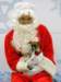 santapaws2012_0147_small.jpg