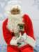 santapaws2012_0148_small.jpg