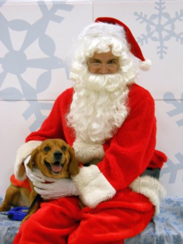 santapaws2012_0152.jpg
