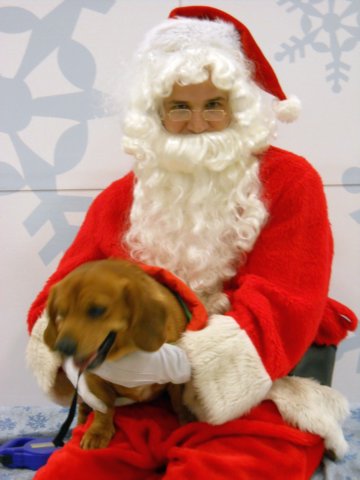 santapaws2012_0153.jpg