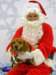 santapaws2012_0154_small.jpg