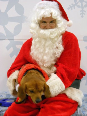santapaws2012_0158.jpg