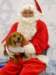 santapaws2012_0160_small.jpg