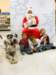 santapaws2012_0165_small.jpg