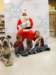 santapaws2012_0166_small.jpg