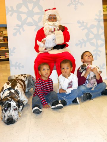 santapaws2012_0167.jpg