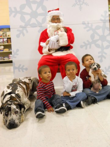 santapaws2012_0168.jpg