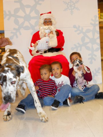 santapaws2012_0171.jpg