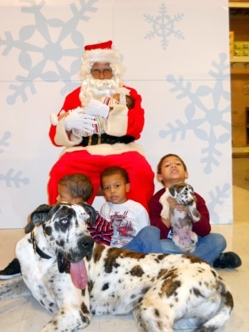 santapaws2012_0173.jpg
