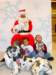 santapaws2012_0173_small.jpg