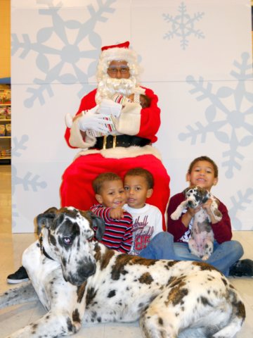 santapaws2012_0174.jpg