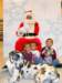santapaws2012_0174_small.jpg