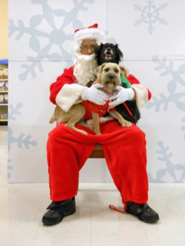santapaws2012_0182.jpg