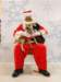 santapaws2012_0183_small.jpg