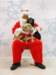 santapaws2012_0185_small.jpg