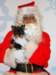 santapaws2012_0191_small.jpg