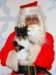 santapaws2012_0192_small.jpg