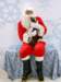 santapaws2012_0193_small.jpg