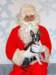 santapaws2012_0196_small.jpg