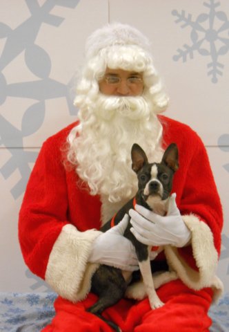 santapaws2012_0197.jpg